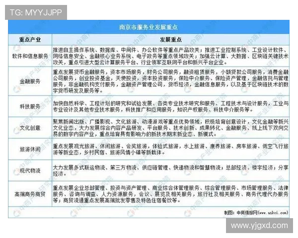 南京羽毛球队个人能力分析与发展策略探讨