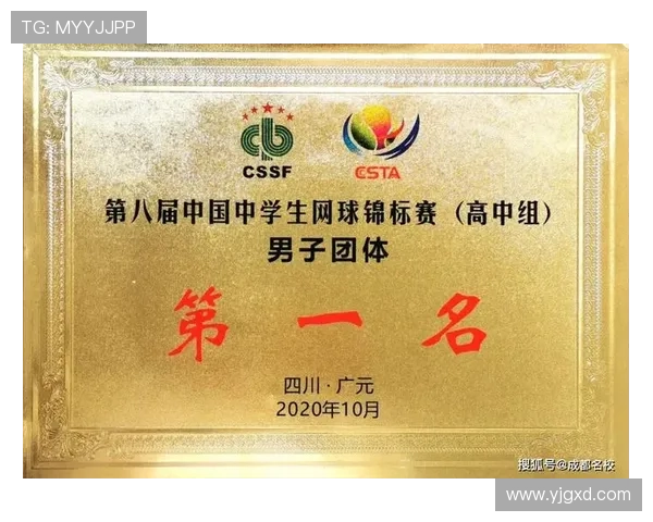成都网球队在锦标赛中的个人能力分析与表现评估 成都网球队在锦标赛中的个人能力分析与表现评估